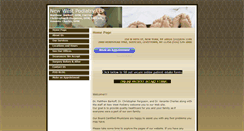 Desktop Screenshot of betterfootcareny.com